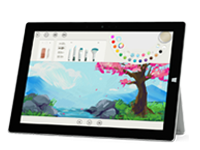 开阳Surface 无法开启、Windows 无法启动或电池无法充电